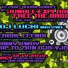 'Jungle Explosion: free the bass' party u Legacyju