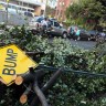 Tornado u New Yorku - kaos na cestama