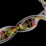 DNK test govori koliko dugo ćete živjeti