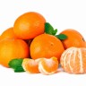 Što sve možemo s mandarinama?