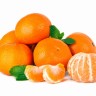 Mandarine su najbolji međuobrok