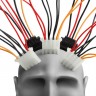 Odobreno ispitivanje čipova za ugradnju u mozak