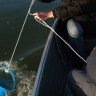 Hrvatske vode: Dunavska voda je čista