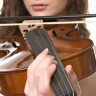 Rijetka Stradivarijeva violina prodana za 9,8 milijuna funta
