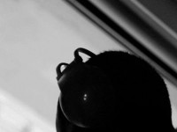 Na Ekstrakt with Delta Funktionen u Sirup IDU: