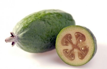 Feijoa