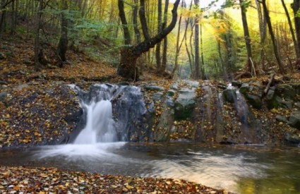 Bacite se u potok, to je dobro za zdravlje :)