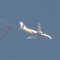 Avion ispušta chemtrail nad Splitom