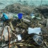 Ronioci iz cijelog svijeta čiste dubrovačko podmorje povodom Svjetskog dana okoliša