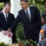 Obama  udijelio predsjednički oprost puricama Apple i Cider