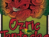 Na Ozric Tentacles u Močvaru IDU: