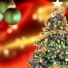 Kako izabrati pravo božićno drvce
