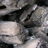 Stupila na snagu zabrana uvoza ruskog ugljena