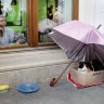 Mačka pod kišobranom