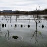 Ukinuto izvanredno stanje oko Neretve, vodostaj raste u Kosinju