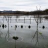 Poplave u Crnoj Gori, vlada traži pomoć NATO-a 