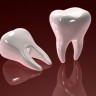 Umjetna zubala postaju prošlost, uskoro dolaze uzgojeni zubi