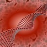 Nobelovac: DNA ima sposobnost teleportacije