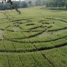 Otkriven prvi krug u žitu u Indoneziji