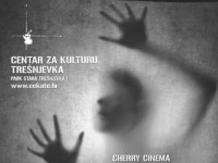 Cherry Cinema  - hrvatski suvremeni film