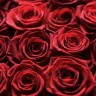Valentinovo - lijepi običaji iz cijelog svijeta