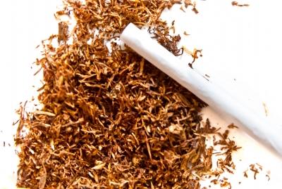 Duhan je prije stotinu godina bio ljekovita biljka