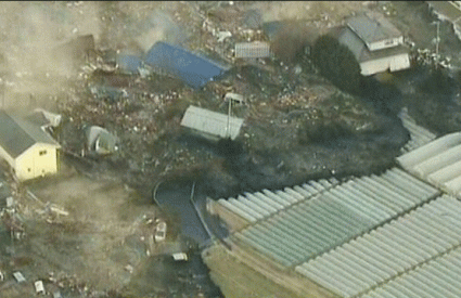 Posljedica potresa i tsunamija u Japanu