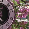 Mjesečni horoskop za travanj 2011.