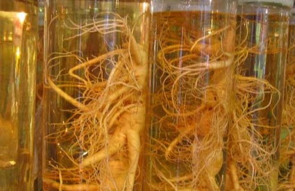 Ginseng stvarno djeluje