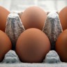 U jajima njemačkog proizvođača Borkena pronađen dioksin