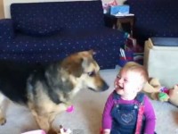 Beba se smije psu koji lovi balone