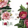 Blok Božur najljepša poštanska marka 2010. godine