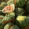 Misteriozne eksplozije lubenica u Kini