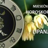 Mjesečni horoskop za lipanj 2022.
