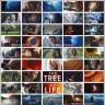 Cannes: Zlatna palma za "The Tree od Life"
