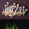 Bioluminescent Mushroom - gljiva