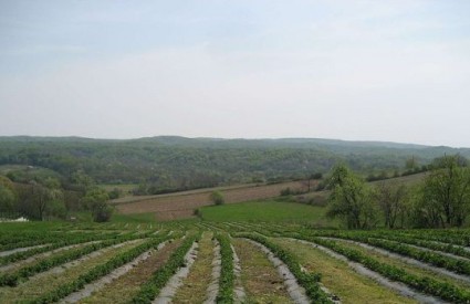 Moslavačka gora kod Vrtlinske