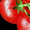 Kako isprati pesticide s povrća