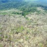 Program zaštite amazonske prašume
