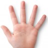 Veličina prstiju na ruci ipak ima veze s veličinom muškog spolnog organa?