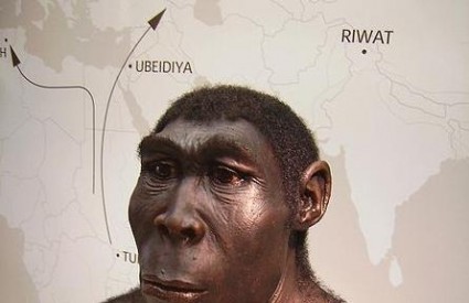 Homo erectus prvi je kuhar