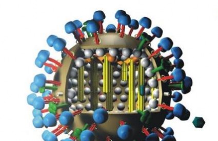 Virus je mutirao zbog hladnoće