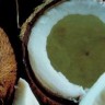 8 razloga zašto kokosova voda nije hir