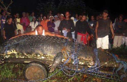 Još se čeka potvrda je li ovo najveći krokodil ikada uhvaćen