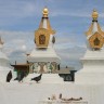 Besmrtni lama - u srcu budističke Rusije