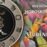 Mjesečni horoskop za studeni 2014.