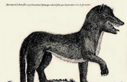Ilustracija navodne zvijeri koja je progoanjala Francuze