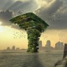 Može li morsko drvo spasiti životinje u gradovima