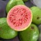guava.jpg