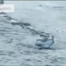 Čudovišni islandski crv snimljen u rijeci